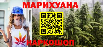 прущие грибы Ачхой-Мартан