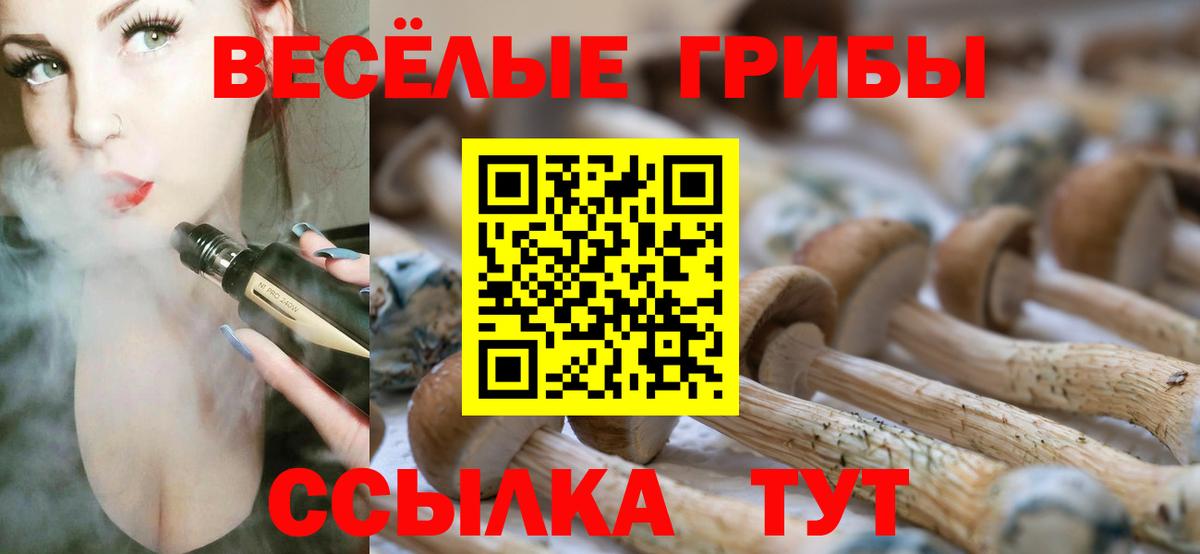 Галлюциногенные грибы Magic Shrooms Архангельск